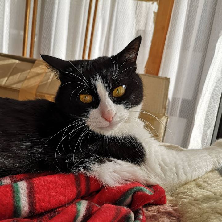 40178d45 49aa 433c 8093 e44524aad8b3 1612588040441