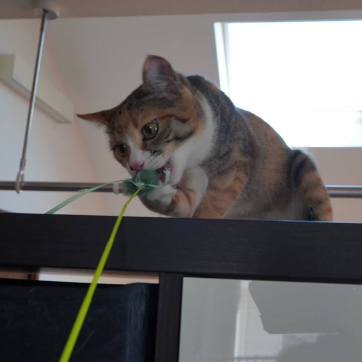 4017b346 2144 4ac1 896c 2d776d7009f0 1582967807491