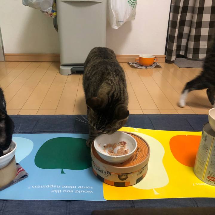 4017be45 47fc 4563 949c 1f8e751f9ff4 1595965606910