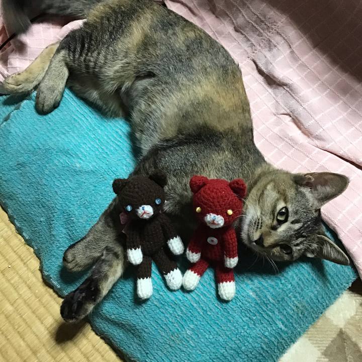 4017c2dd 04e7 44d8 9fc7 8b92f78074b2 1573457882080