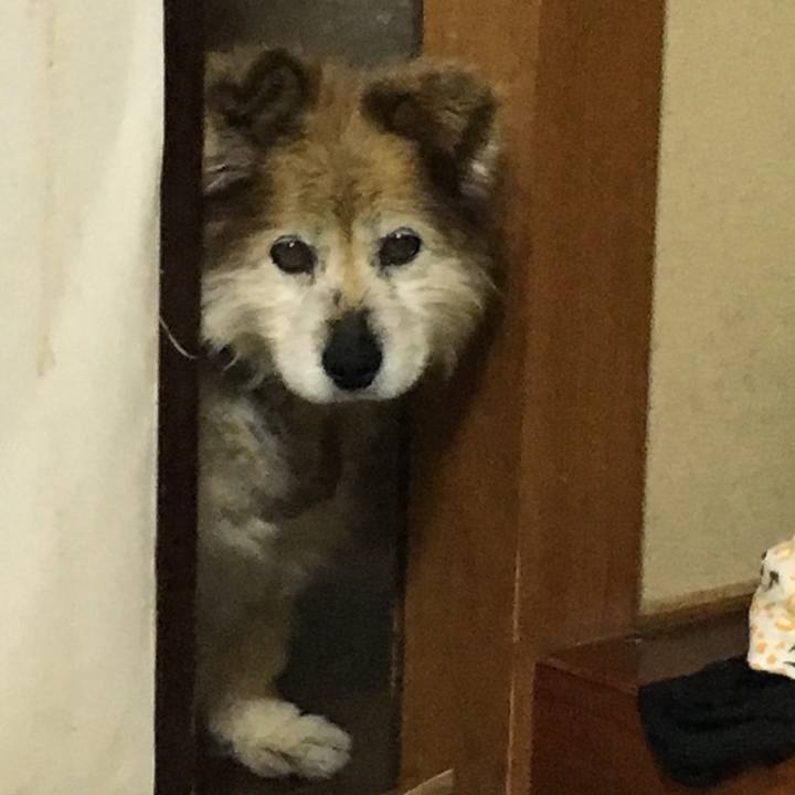 4017e552 089e 4b31 be2e 0c3598df1c39 1575678435034