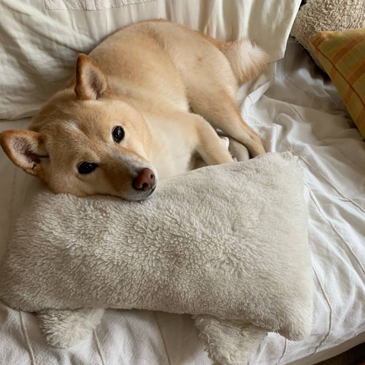 401807a8 ea49 427a af8c 13cd56a728a2 1622251524293