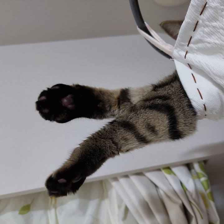 4018107f ad45 42be 9eaa 45484441110e 1692698408798