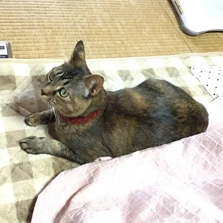 40181b32 e3bf 41f2 8bd9 c735d15c3430 1640824462219