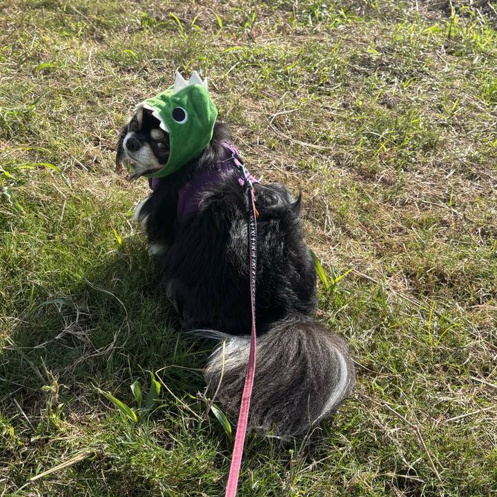 4018229c a6aa 47e5 bf58 7bb4fea0b542 1762217122614