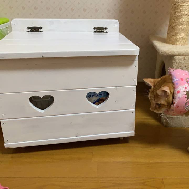 40185279 2834 4bc3 b5f8 784a5c5015ef 1634981255401