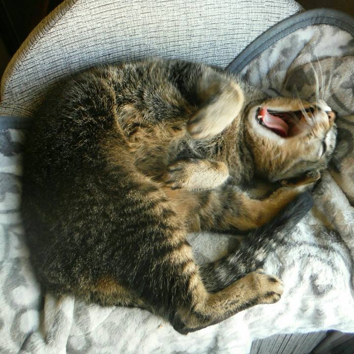 4018a1c1 0225 4047 aec2 d61a1340a9f2 1543280135449