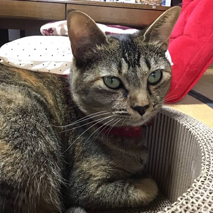 4018bc82 a0a6 4163 8181 525a5366479b 1599466249581