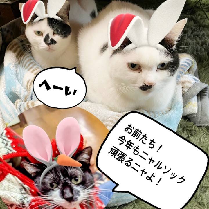 4018e7ab ada9 449d 84ab bd17cd060f8f 1672630401465