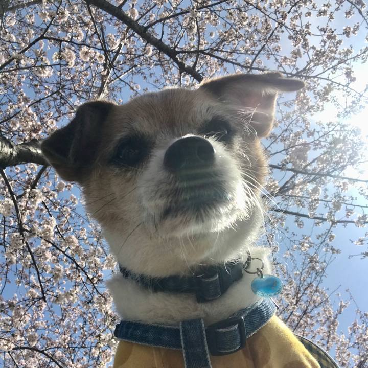 4018ec46 f038 45fe b64f 2deb3cb33a62 1648435543426