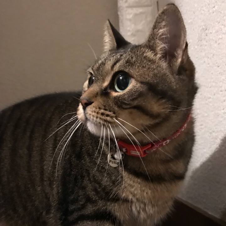 401901ca fce1 4e97 ae5c 610c7c725aca 1641903729280