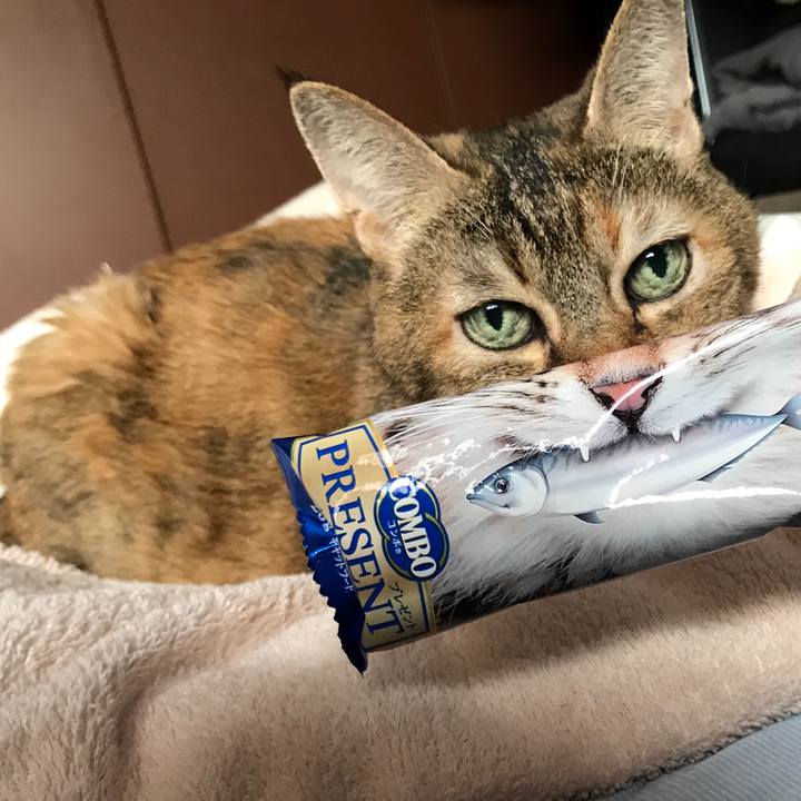 40192dd7 a8bd 4907 9fa7 e8ad53cf5273 1538966881915