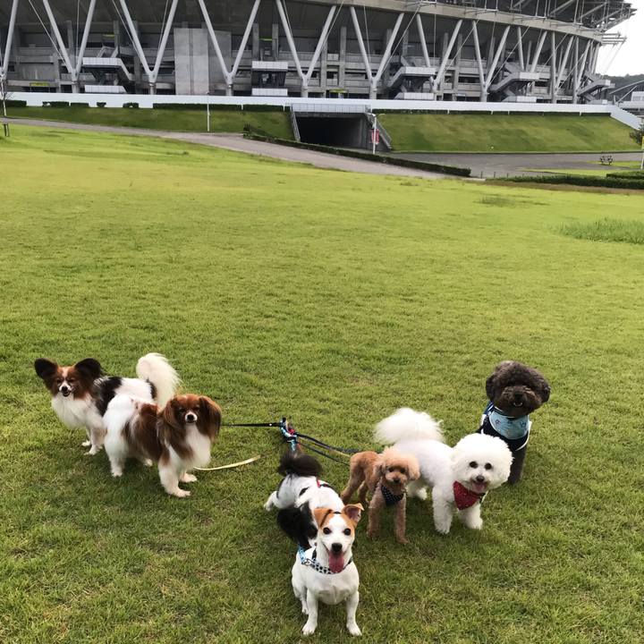 40193475 7638 4585 96b8 054e12e6ff75 1567592883382