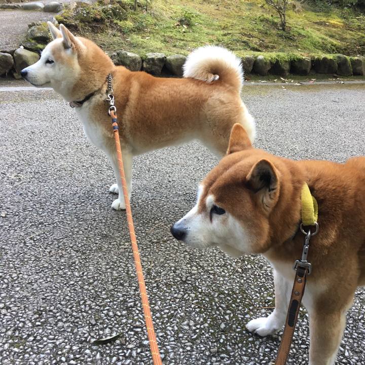 40193c58 09fc 457e 860b 7f6559661b55 1520067293949