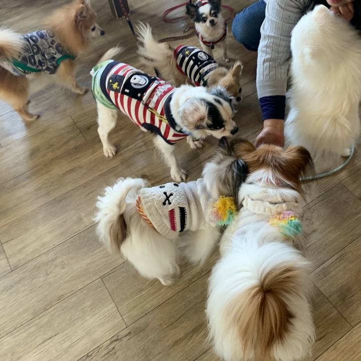 401995a2 40fa 4423 8aea 86b9cbfcd34c 1579646474069