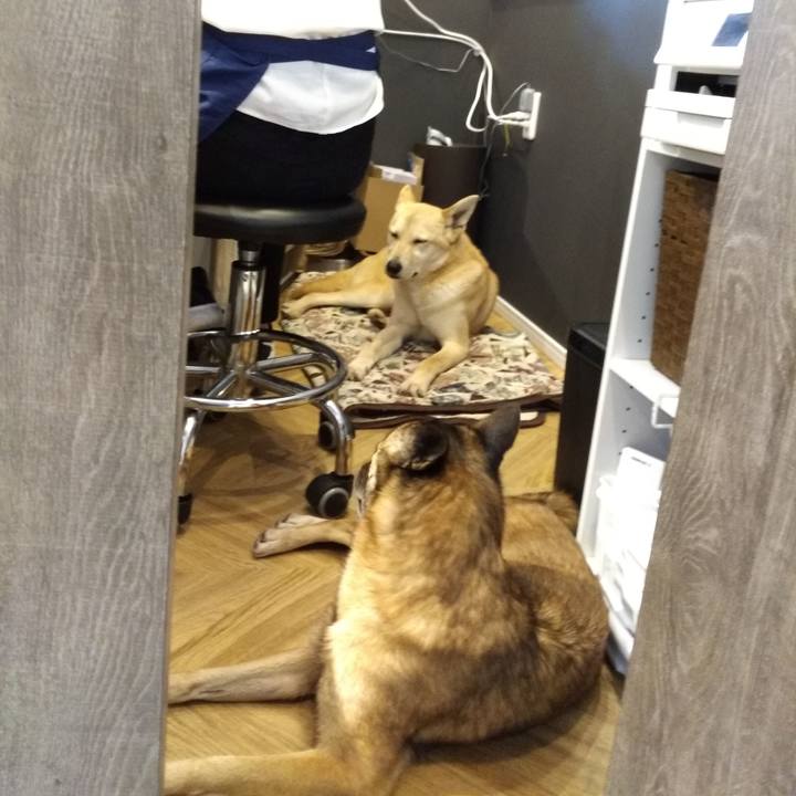 4019d55e 26c8 471b b11b 5647393c8eb0 1582345843838