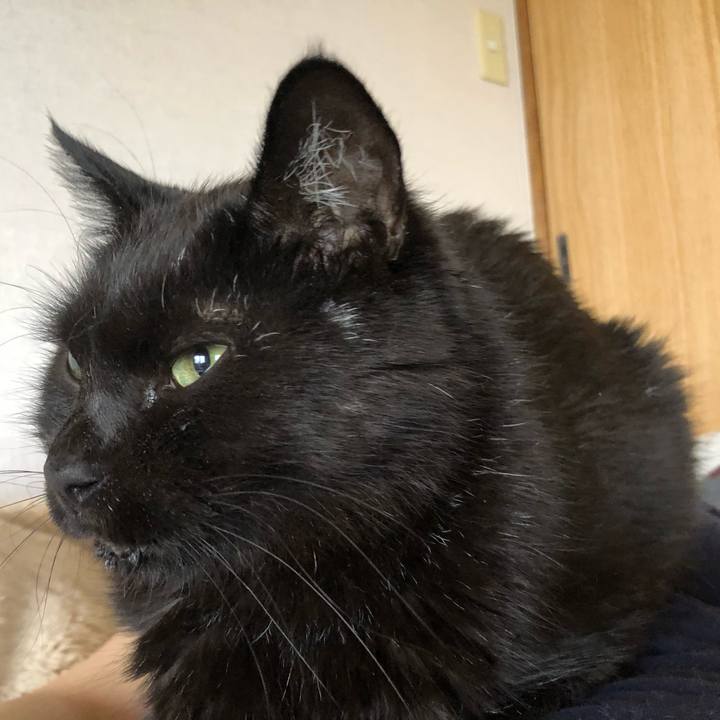 4019da7f 53a5 43f1 8a6e 9ee7a96568b4 1623964163322