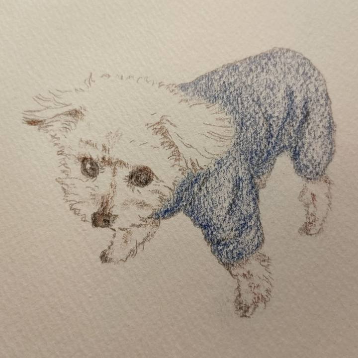 4019fafb 25df 4246 8df0 00d3a9daae10 1740321685348