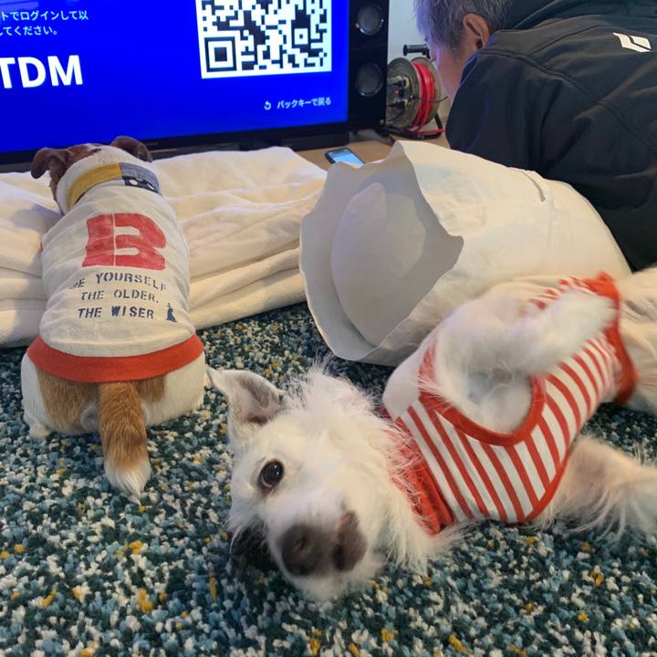 401a20c6 11ba 42ee 91c3 739eaffc6765 1581747014801