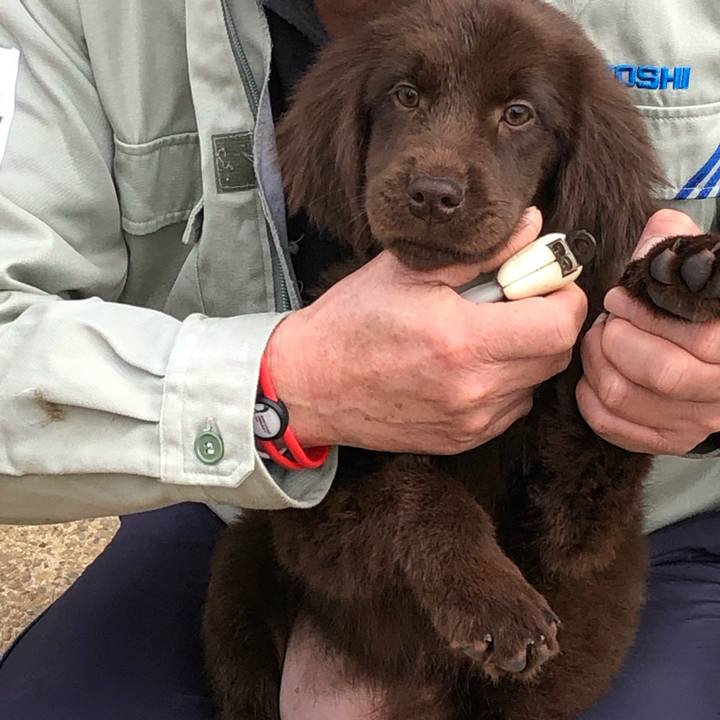 401a41d8 4447 4b2b af86 0e519b6102bb 1554861025702