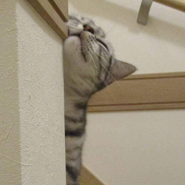 401a65e9 09ef 4f44 8a06 325ad1cb50d0 1556449051725