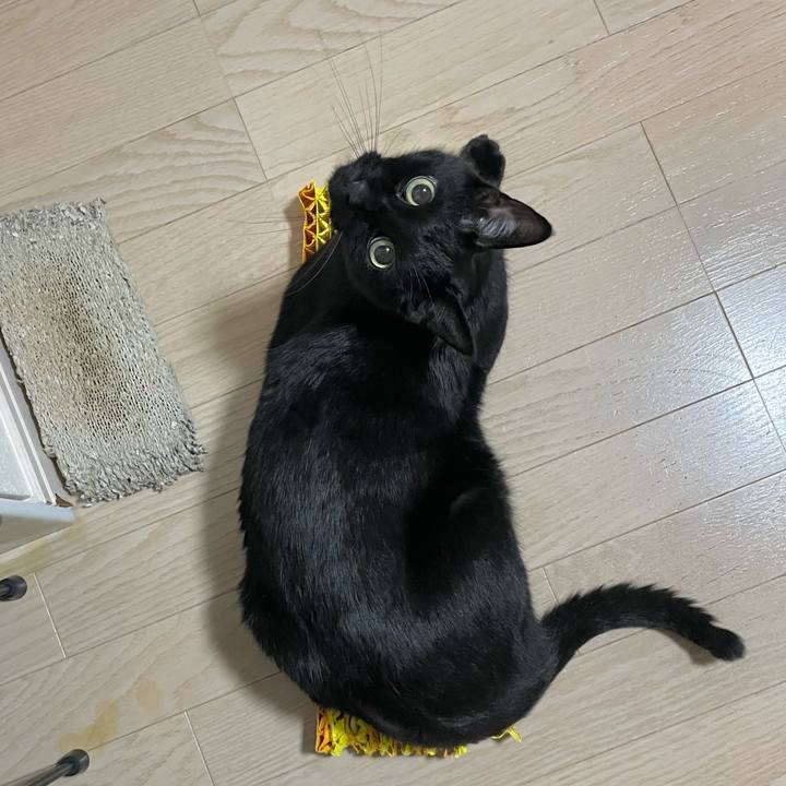 401a9894 a867 42b7 89af 73b02925e0d9 1667657011411