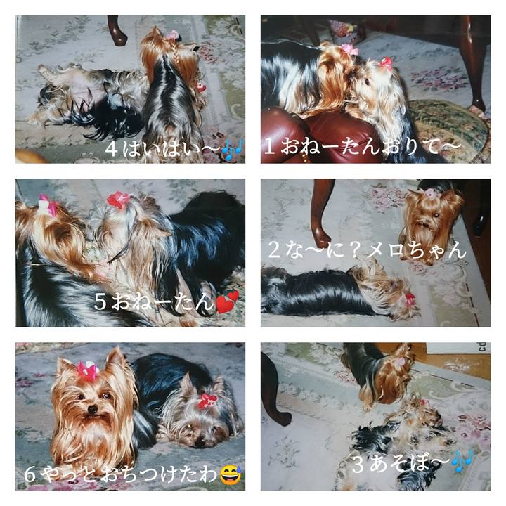 401ac3b4 87c6 4345 a24f 0ed5eea924e1 1558156973219