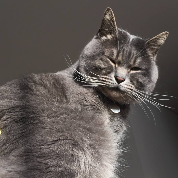 401ac6d7 cf48 4d45 9b6c 671f87a23978 1516662475874