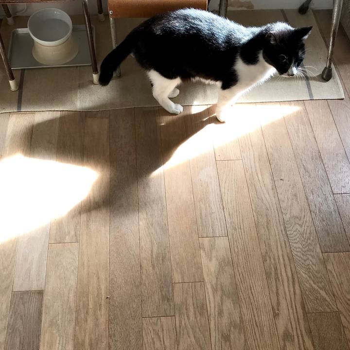 401af9f3 f269 4fce bacd 3fe2c3aee147 1520055674623