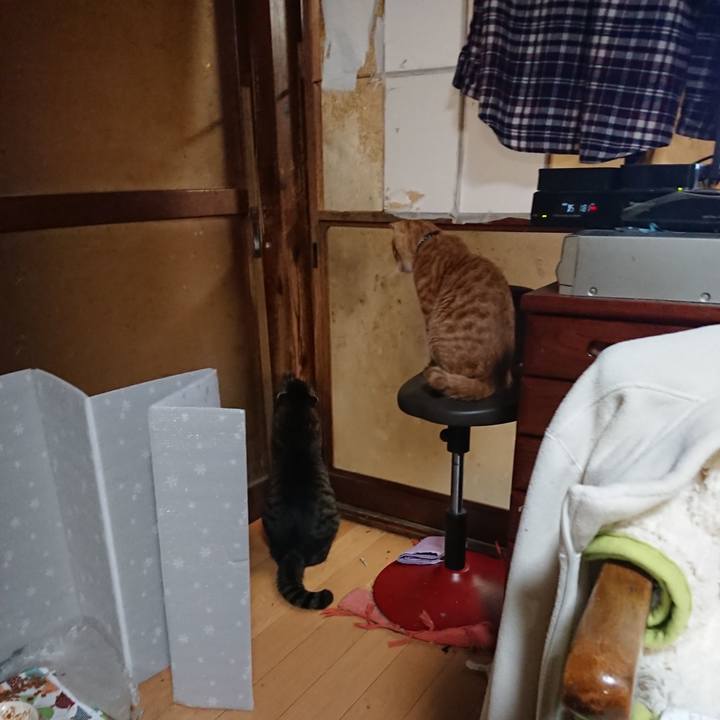 401b1eee f735 428f 997f 95d41b40c044 1642594686823