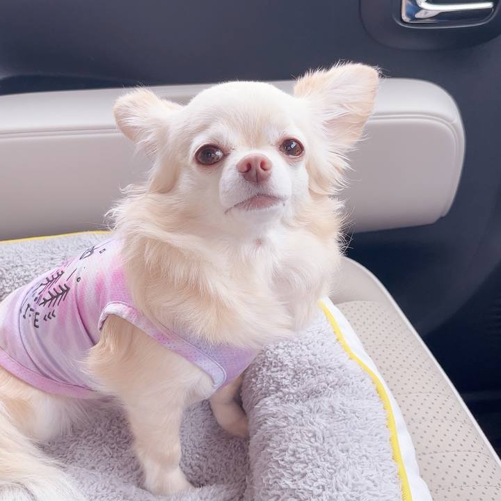 401b38fe 348f 4012 a18b 5c92bf424557 1749954408787