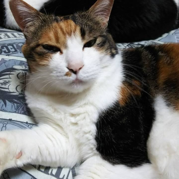 401b434e fa2b 4e2e 8c99 7905849e4a2d 1530628696183