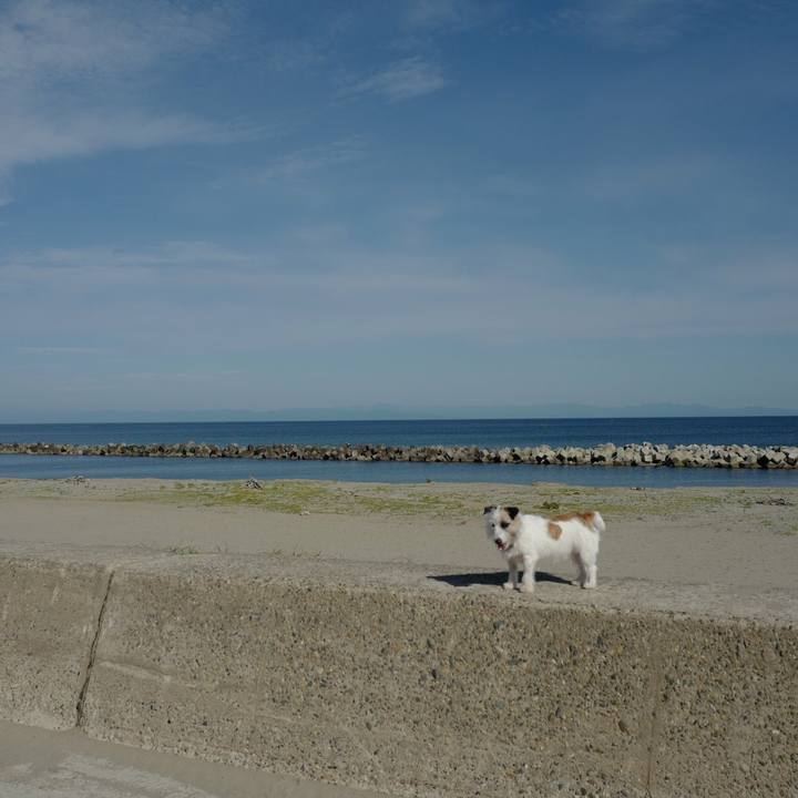 401b6dcd 27fa 404d a12d ff618cf90d9c 1529379943823