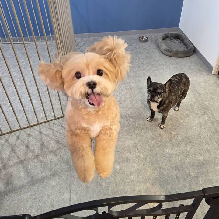 401b91bc d17f 4562 8ad9 6ba3eee362a9 1771142899848