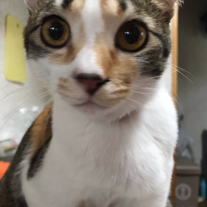 401b9590 056c 4e51 ba31 742d24cffc6d 1622327240252