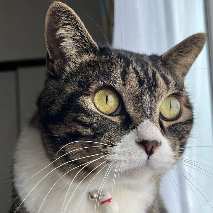 401ba85d be4b 48e2 b333 5582d851aea9 1768434999658