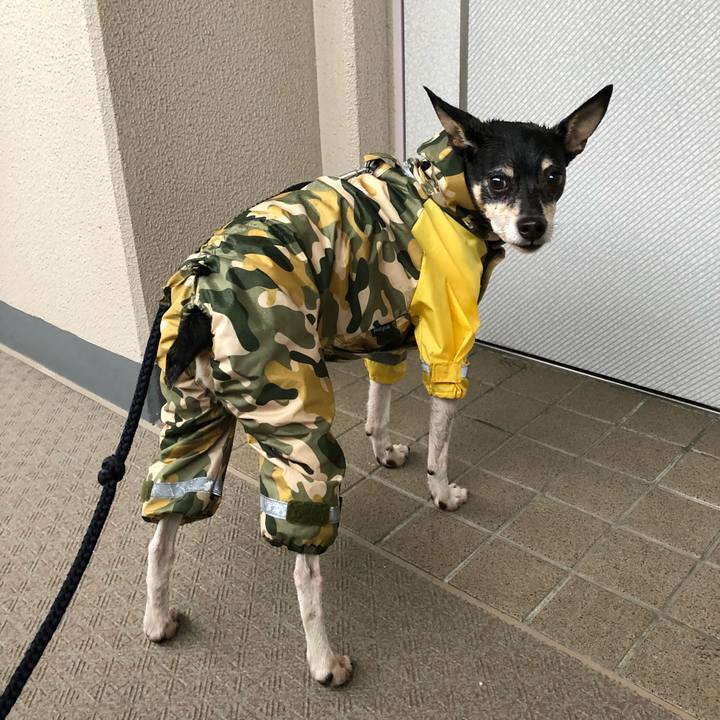 401bfdd0 51e2 46f7 9964 4c0823e45667 1524610290333