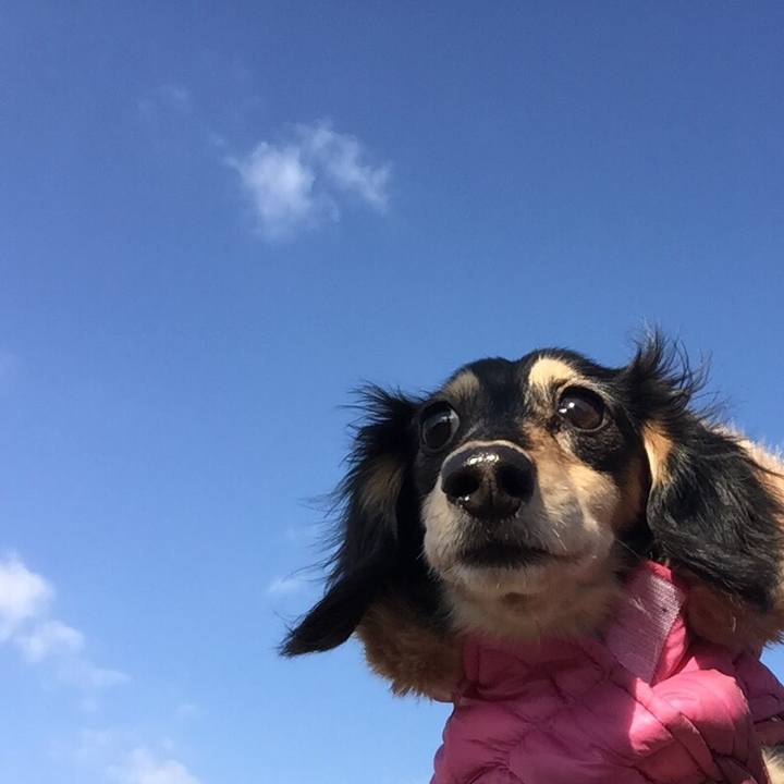 401c0db9 d70b 44d8 ba5a 629ec0a9cacb 1516065586607