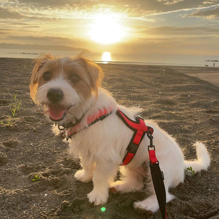 401c1055 8c8b 4c99 aaa7 3a49abd9240a 1757717410680