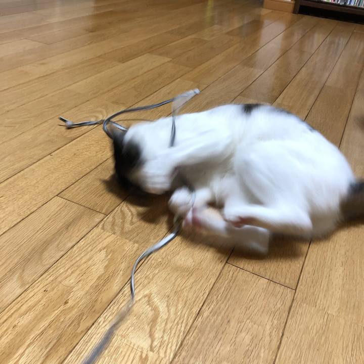 401c1390 ddef 4e4b 8429 a28b6e9d7fac 1627742397114