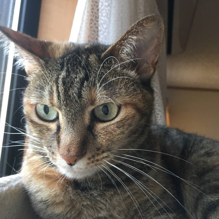 401c571e 745c 4c00 a407 24a0b6283ec6 1531601893113