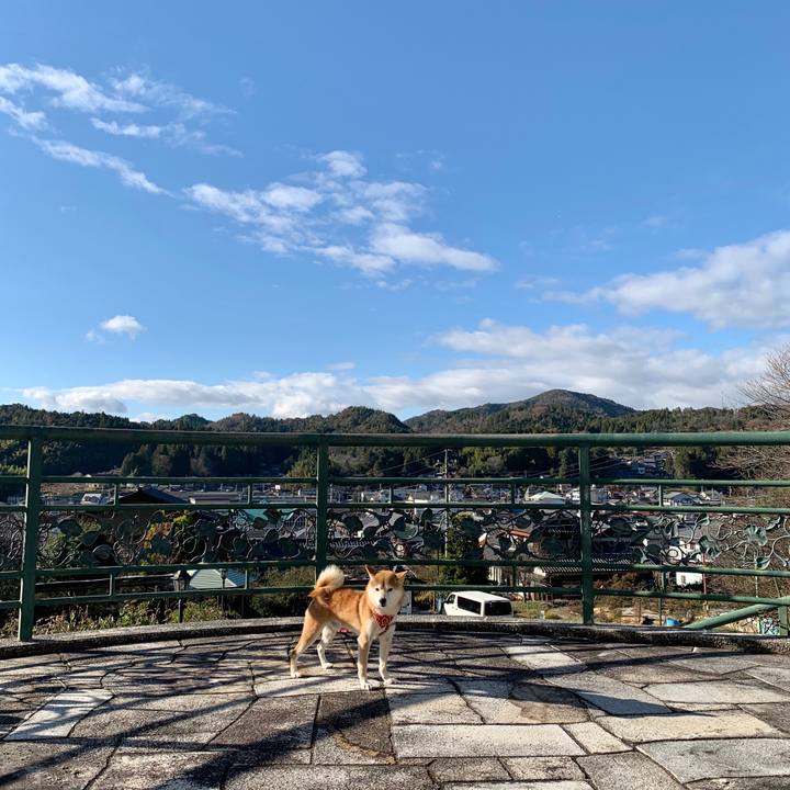 401c61db db80 4a12 acb5 17115b3bd606 1575630383755