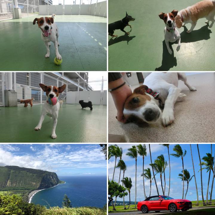 401c8191 1a12 4f92 9cc2 48f4e747d94c 1569110479508