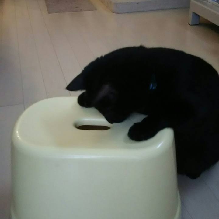 401c938a 45ed 42c2 9cc8 e3e424f64352 1535760819079