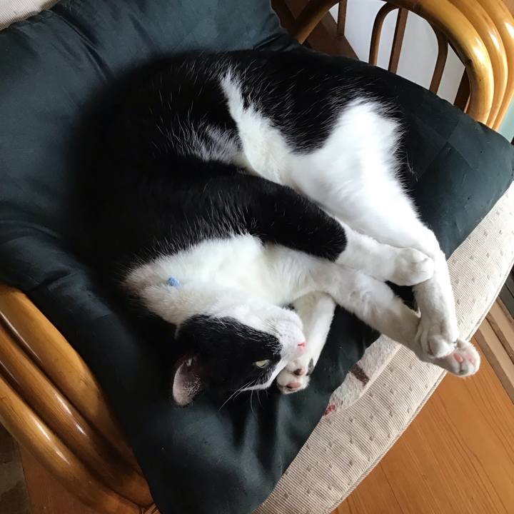 401cd35a 0183 49bf 80aa 5effd0eb051f 1720439433100