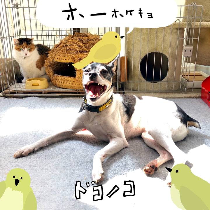 401cda82 db6f 4672 8901 933c65a84c94 1711022630141