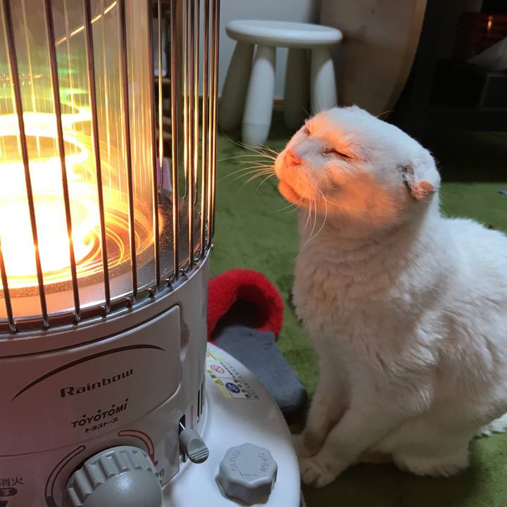 401d0b64 79b7 440b 995d 8c443da58843 1520610371403