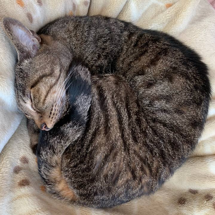 401d3dec 1207 4d1a ab68 2d6177b1aab3 1555290380138