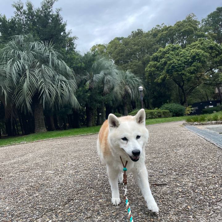 401d7811 c47e 4dfd a99b 5a42caf4fcce 1699786722664