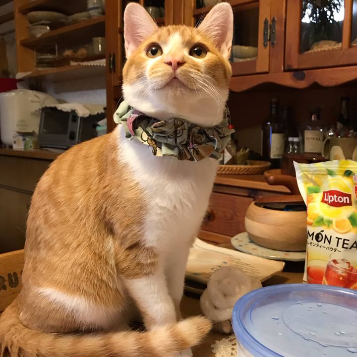 401d8e13 0b7c 4bef ab69 40ae8b445945 1669382481607